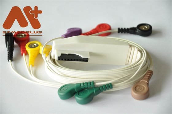 Mortara 10 CEI van de Loodecg Kabel - 9293-017-50 voor Holter Recorder