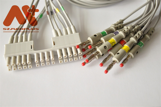Het electrocardiogramkabel 10 Lood 9293-041-50 van Mortaraburdick voor electrocardiogrammachine
